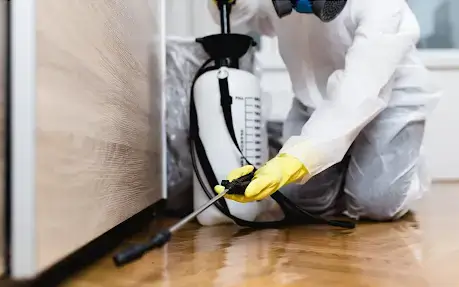 controle de pragas controle de pragas